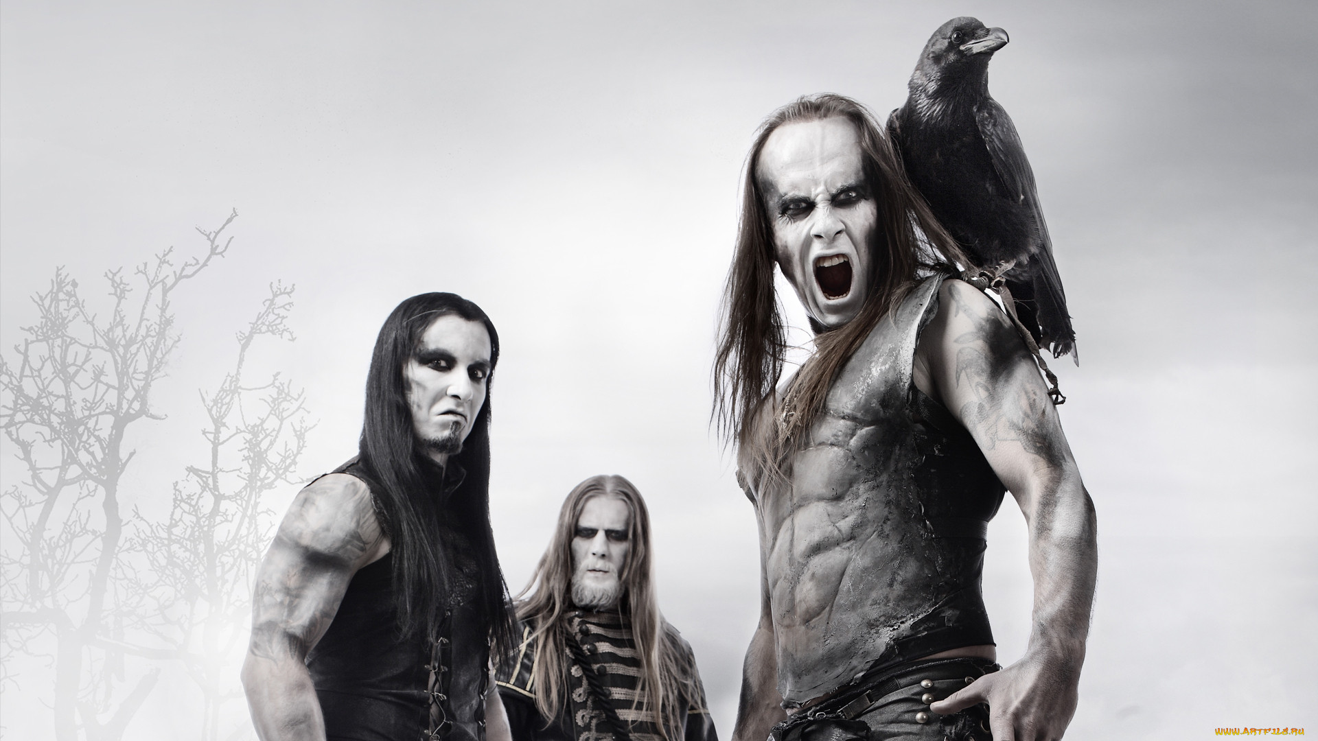 , behemoth, metal, band